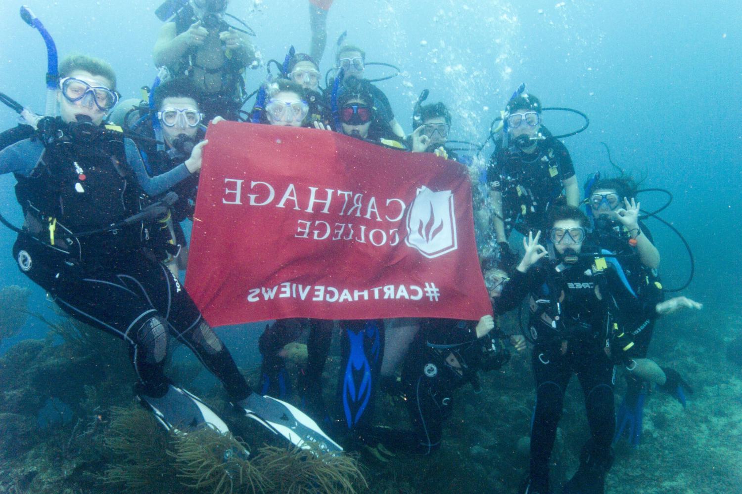 学生们手持<a href='http://83ap.lfkgw.com'>bv伟德ios下载</a>旗帜，在j学期洪都拉斯游学之旅中潜水.